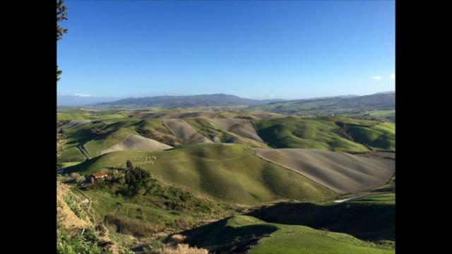 Tuscany & Silence Apt Country View In Terricciola Wifi Διαμέρισμα Εξωτερικό φωτογραφία